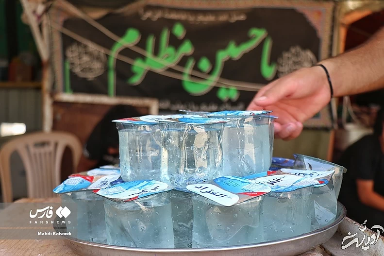 (تصاویر) بفرما «مای بارِدْ»